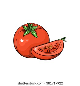 Tomato hand drawn illustration isolated on a white background - stock vector