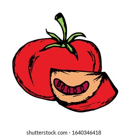 Tomato hand drawn illustration vector in doodle style