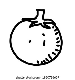 Tomato hand drawn illustration vector drawing