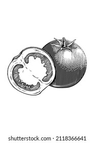 ilustraciones de estilo de tablero de grabado de tinta dibujada por mano y pluma vintage grabado con tomate