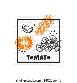 Tomato. Hand drawn realistic vector illustration. Organic vegetable. Eco food. Farm market product. Isolated white background. Can be used for shop, menu, card, poster, label