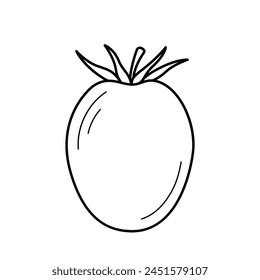 Tomate. Dibujado a mano boceto icono de la verdura. Ilustración vectorial aislada en estilo de línea de garabatos.