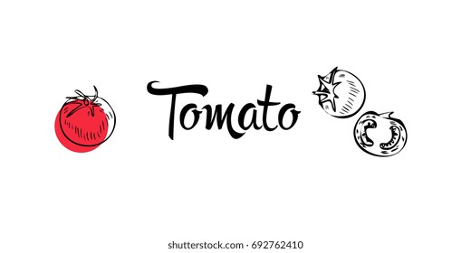 Tomato hand drawn and tomato slice