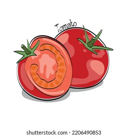 Tomato hand drawn vector illustration. Colorful vegatables with ink outline and shadow isolated on white background.  