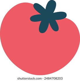 Tomato Hand Drawn Vector Illustration