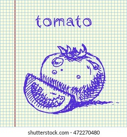 Tomato. Hand drawn vector stock illustration. Sheet ball pen drawing.