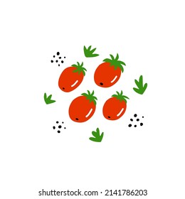 Tomato hand drawn vegetables isolated on white background. Fresh tomatoes with green rucola and pepper corn around. Vector illustration for culinary design.