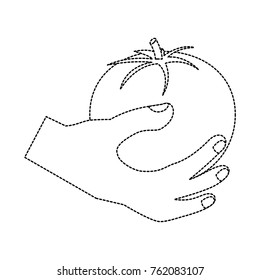 tomato hand holding vegetable icon image 