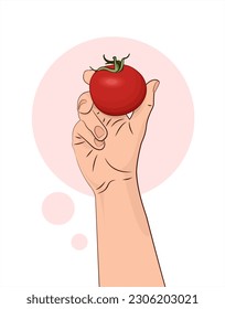 Tomate. Un tomate en la mano. Una verdura en mano humana. Alimentos saludables. Fondo blanco de ilustración vectorial aislada.