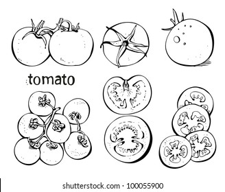 Tomato hand-drawn set isolated on a white background