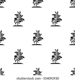Tomato icon in black style isolated on white background. Plant pattern stock vector illustration.