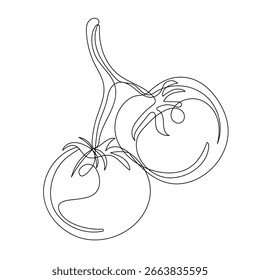 Tomato icon   continuous one line drawing of outline vector illustration