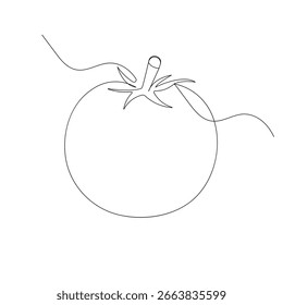 Tomato icon   continuous one line drawing of outline vector illustration
