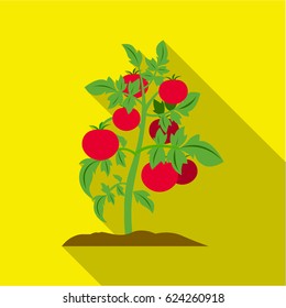 Tomato icon flat. Single plant icon from the big farm, garden, agriculture flat.