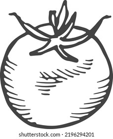 Icono de tomate. Hortalizas frescas maduras dibujadas a mano