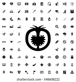 tomato icon illustration isolated vector sign symbol