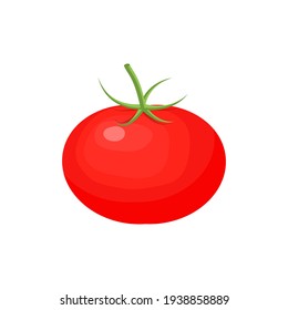 Tomato icon isolated on white background. Vector illustration
