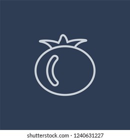 Tomato icon. Tomato linear design concept from Agriculture, Farming and Gardening collection. Simple element vector illustration on dark blue background.