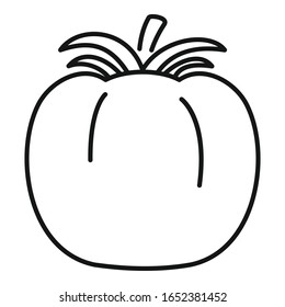 Tomato icon. Outline tomato vector icon for web design isolated on white background
