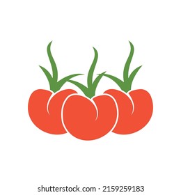 Tomato icon set. Isolated vegetables. Vector illustration