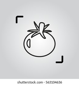 Tomato icon thinline style vector illustration EPS10