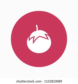tomato icon vector