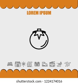 tomato icon vector