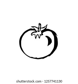 Tomato icon. Vector brush ink illustration.