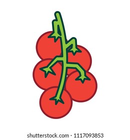 Tomato icon, vector illustration