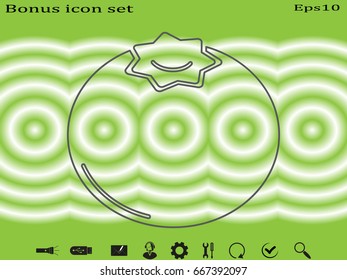 tomato, icon, vector illustration eps10
