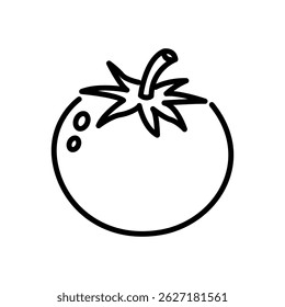 tomato icon vector, line style icon