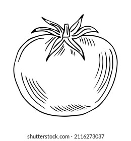 Tomato icon vector. Outline wegetarian food, line tomato symbol. Trendy flat ui sign design. Thin linear graphic pictogram for web site, mobile application. Logo illustration.