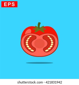 tomato icon, vector tomato slice icon, isolated tomato