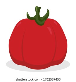Tomato icon vegetable organic eco design vector illustration