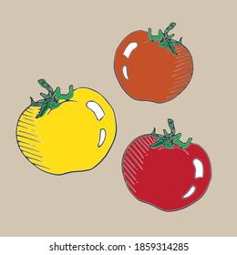 icono del tomate, tomate amarillo, tomate rojo, vector del logotipo del tomate