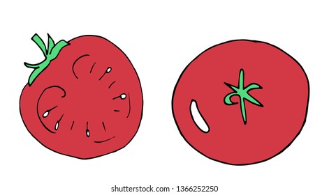 Tomato icons set. Outline set of tomato vector icons for web design isolated on white background. Hand draw vector illustration. Doodle.