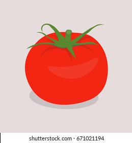 Tomato Illustration. Flat Design. 
