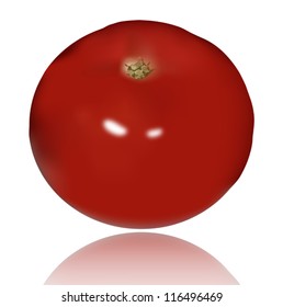 Tomato illustration meshes. Eps 10. Vector.