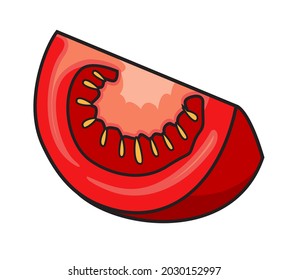 Tomato illustration realistic vector slice