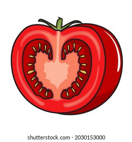 Tomato illustration realistic vector slice