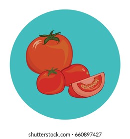 Tomato Illustration Vector