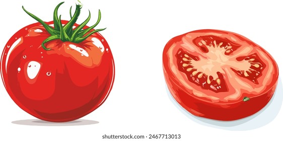 Tomato Illustration Vector Design Stock Image
