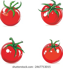 Tomato Illustration Vector Design Stock Image
