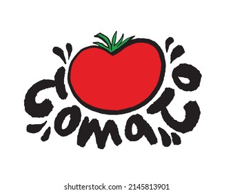 Tomato illustrations - Hand drawn food ingredients, Tomato - vector