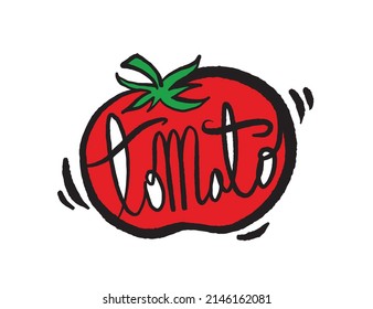 Tomato illustrations - Hand drawn food ingredients, Tomato - vector