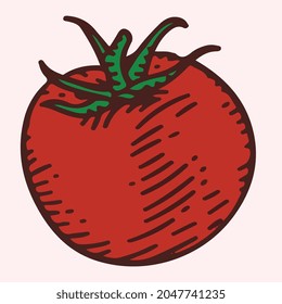 tomato ingredient color stroke vector