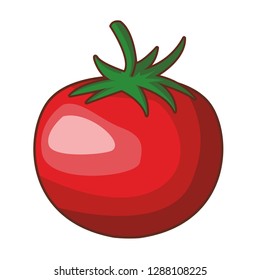 tomato isolated icon