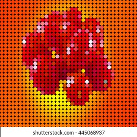 tomato isolated on colored background composed of colored circle