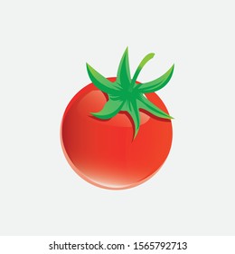 Tomato isolated on white background. Tomato organic food realistic vector illustration of healthy vegetable.
