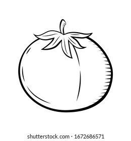 Tomate aislado de fondo blanco. Comida ecológica. Diseño del sitio web, aplicación móvil. Página colorear. Vector ilustrado vegetal en forma de caricatura